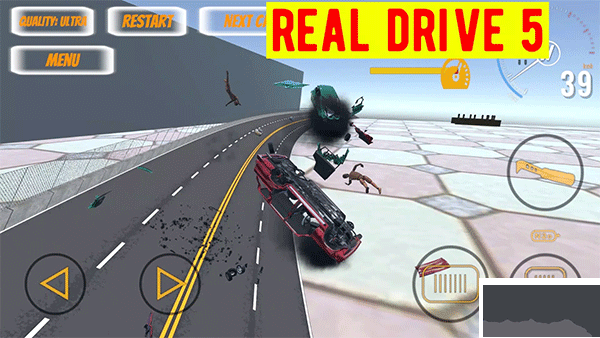 真正的驱动器5(Real Drive 5)