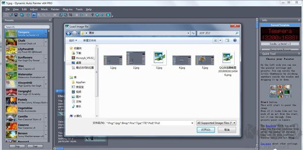 Dynamic Auto Painte Pro(照片转油画工具)