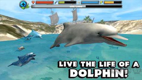海豚模拟器(Dolphin Sim)