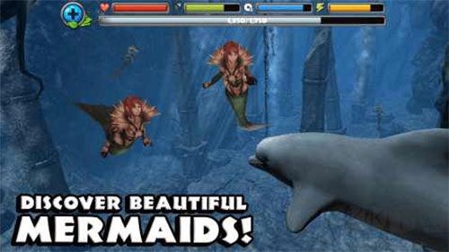 海豚模拟器(Dolphin Sim)