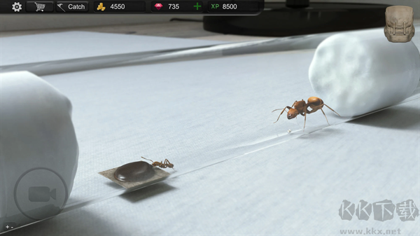 蚂蚁模拟大亨(Ant Sim Tycoon)