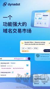 Dynadot(域名解析)