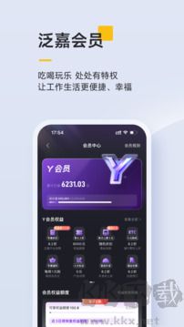 泛嘉行