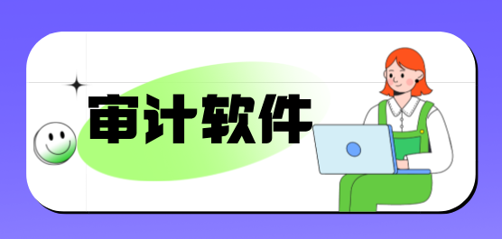 审计软件合集-常用的审计软件-最好的审计软件
