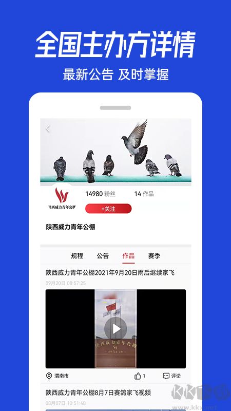青鸽网app