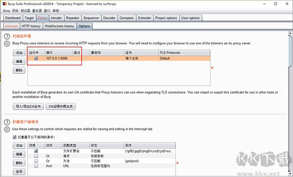 Burp Suite(渗透测试工具)