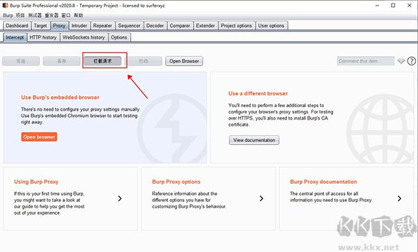 Burp Suite(渗透测试工具)