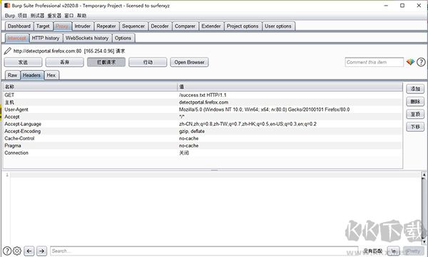 Burp Suite(渗透测试工具)