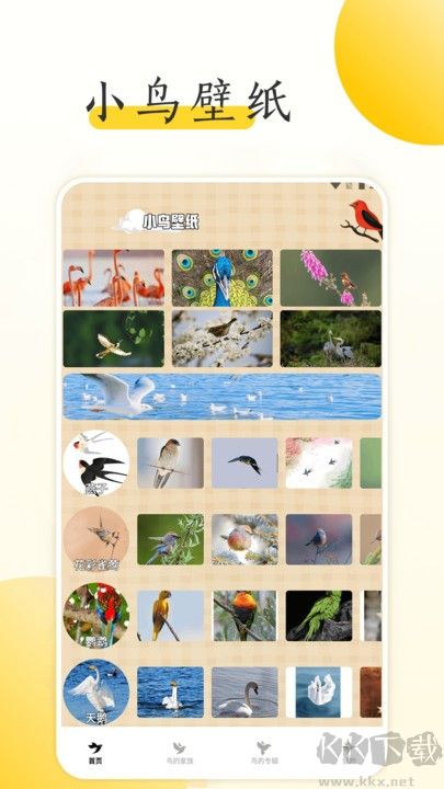 小鸟壁纸