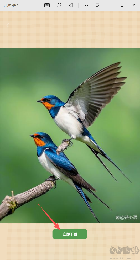 小鸟壁纸