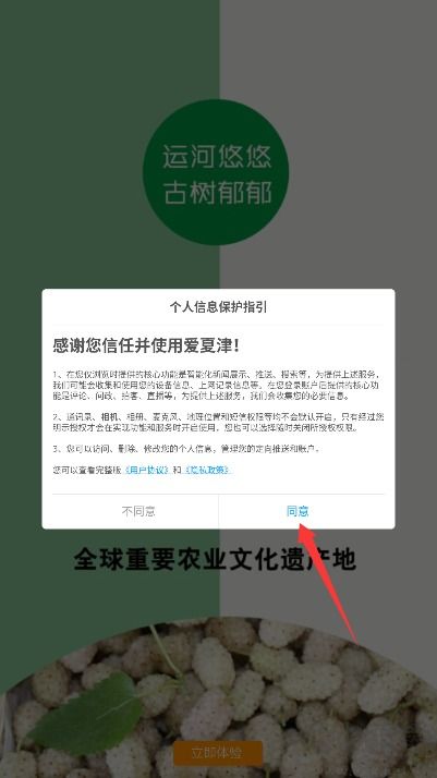爱夏津