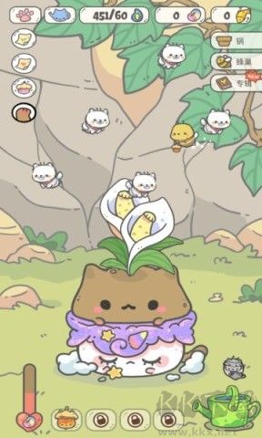 我的猫锅