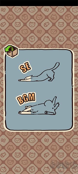 盒子猫