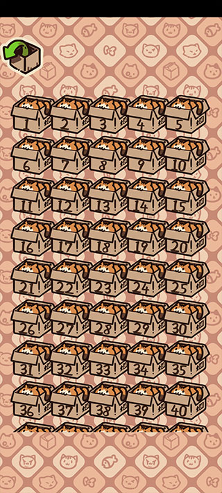 盒子猫