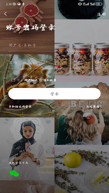 掌上洛南