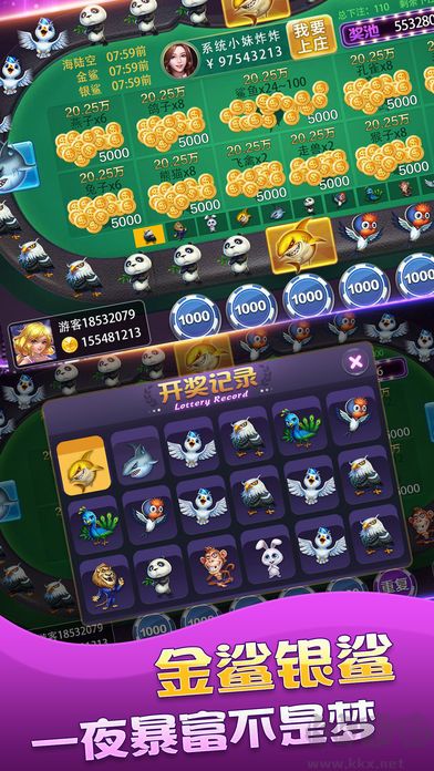 一道飞禽走兽安全