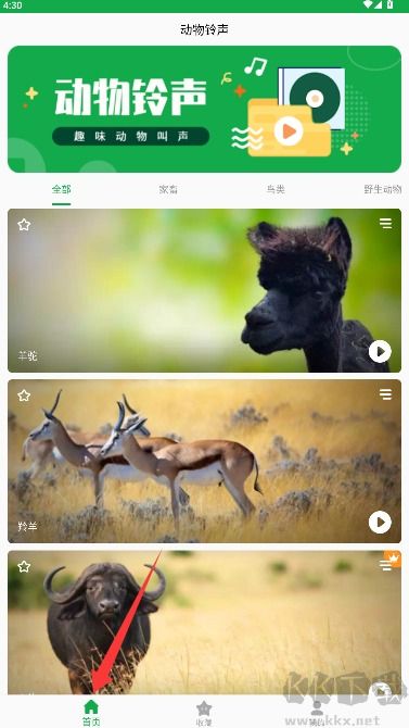 动物叫声之家