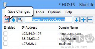 BlueLife Hosts Editor(host文件编辑工具)