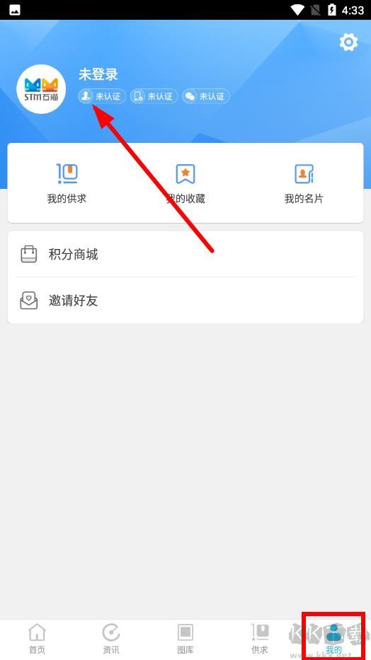 石猫