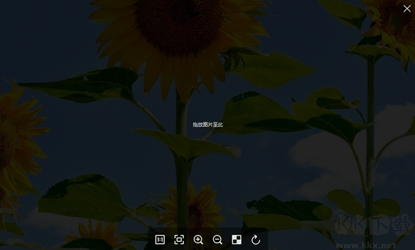 菠萝看图(Pineapple Pictures)