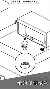 猫咪真的很可爱