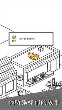 猫咪真的很可爱