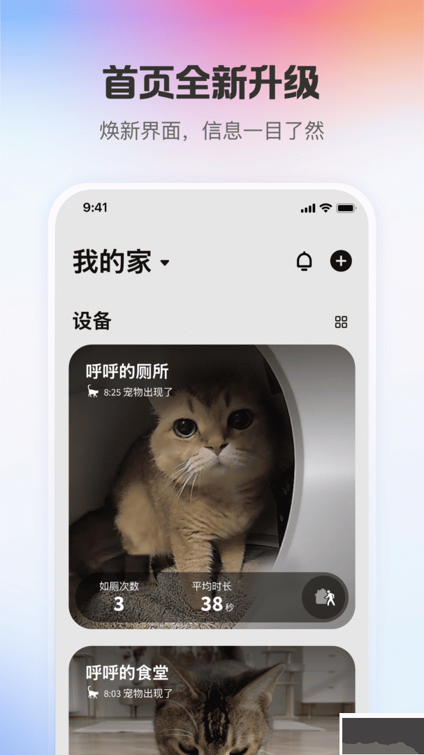 小佩宠物