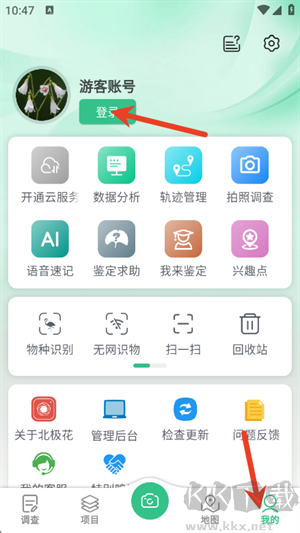 北极花生物调查