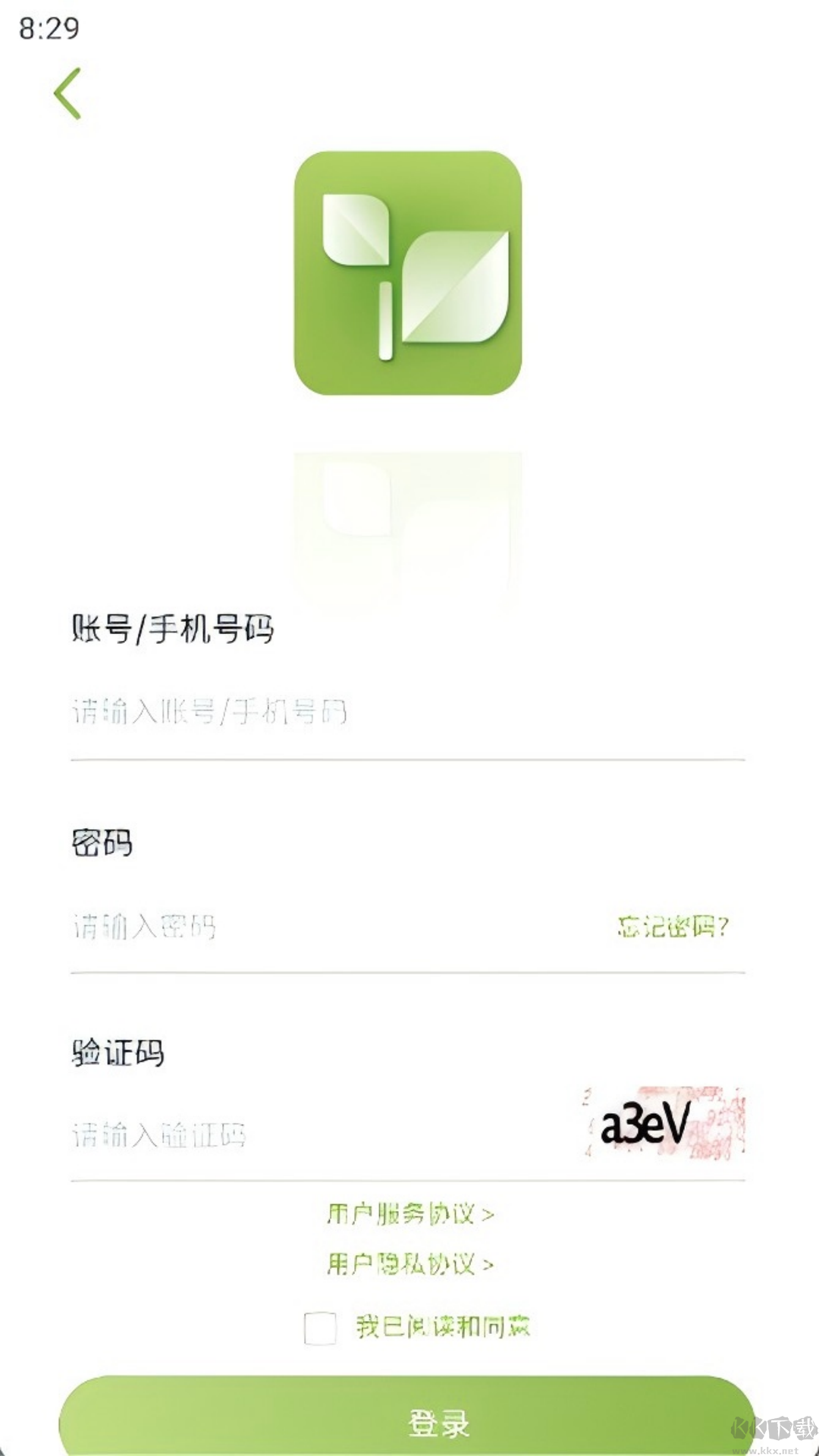 乾茶