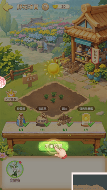 我的花园世界