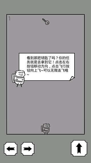 会飞的坏坏