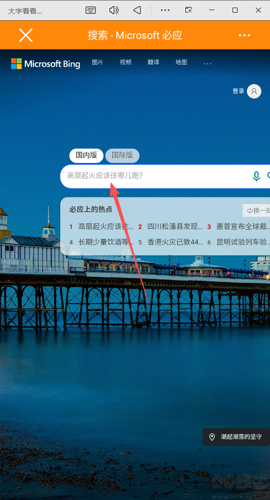 大字看看浏览器