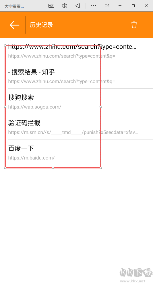 大字看看浏览器