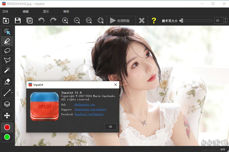 Teorex Inpaint(去水印工具)