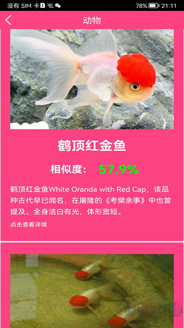 拍照识花神器app安卓版