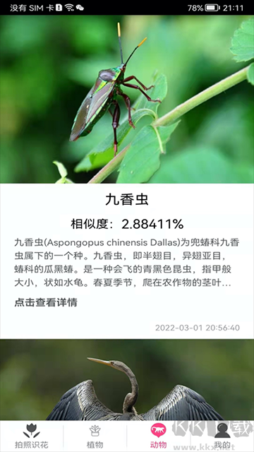 拍照识花神器app安卓版
