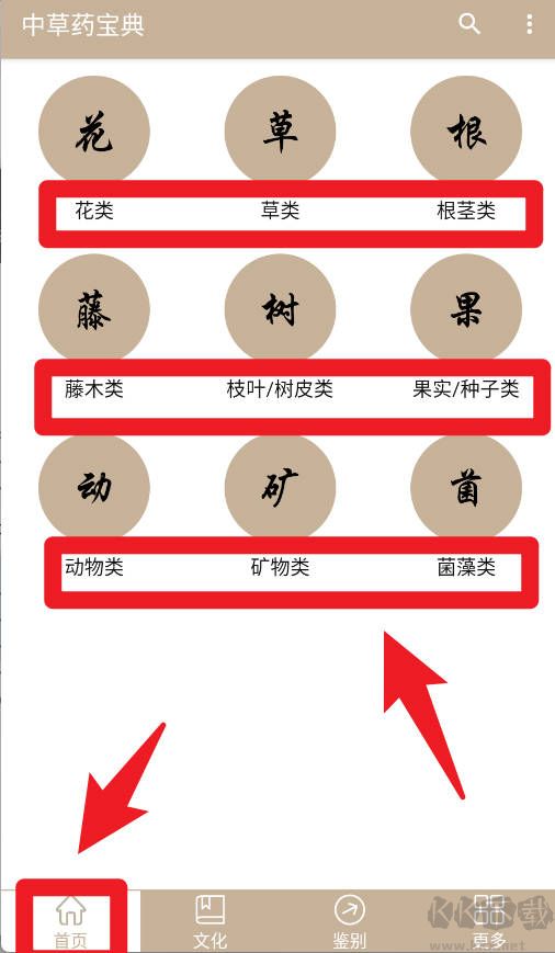 中草药宝典
