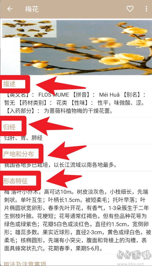 中草药宝典