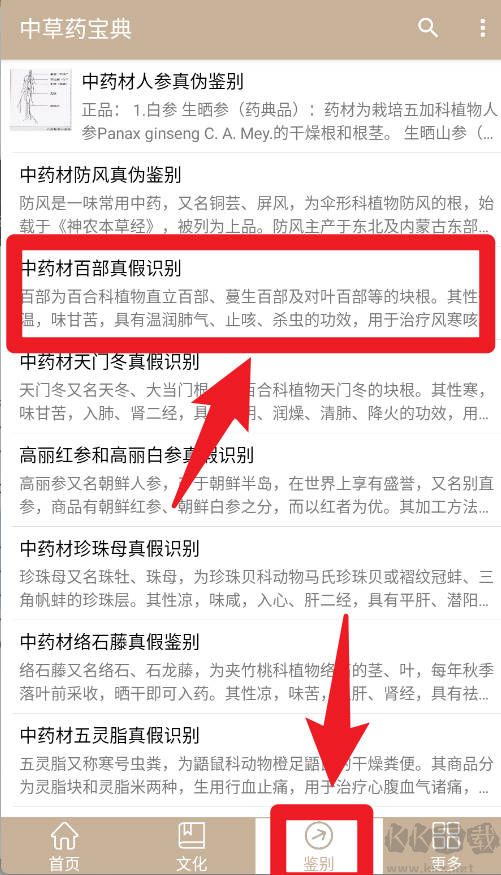 中草药宝典