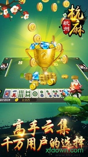 边锋杭州麻将全集