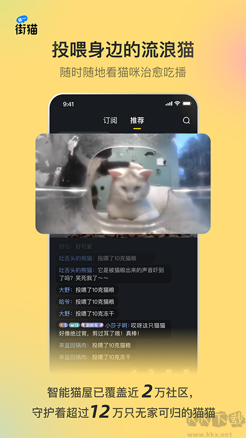哈啰街猫