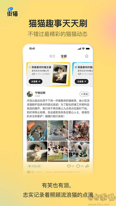 哈啰街猫
