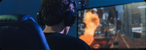 RayLink(远程控制)