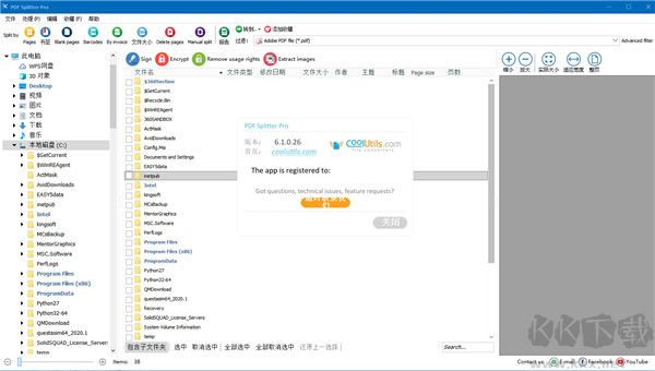 PDF Splitter Pro(PDF文档切分合并工具)