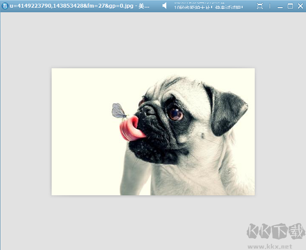 美图看看官方正版