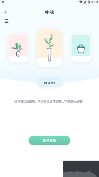 柠檬点点