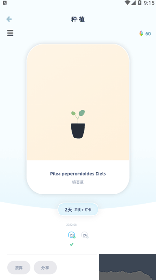 柠檬点点