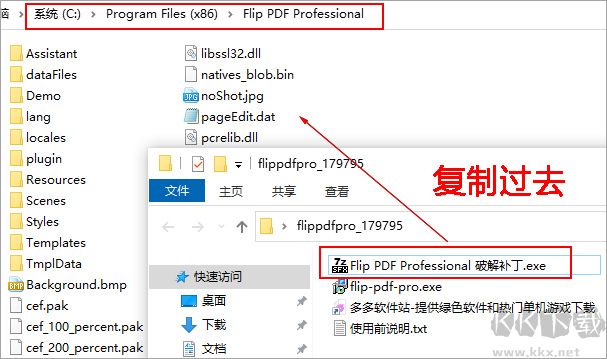 Flip PDF Professional