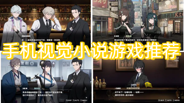 手机视觉小说游戏推荐-手机视觉小说游戏合集-手机视觉小说游戏大全