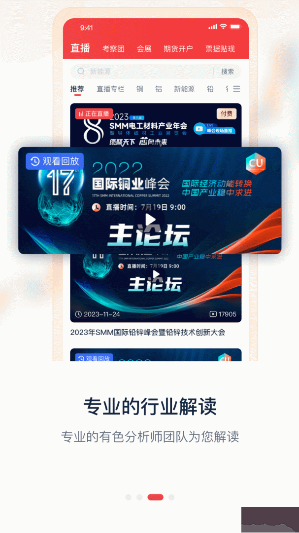 掌上有色